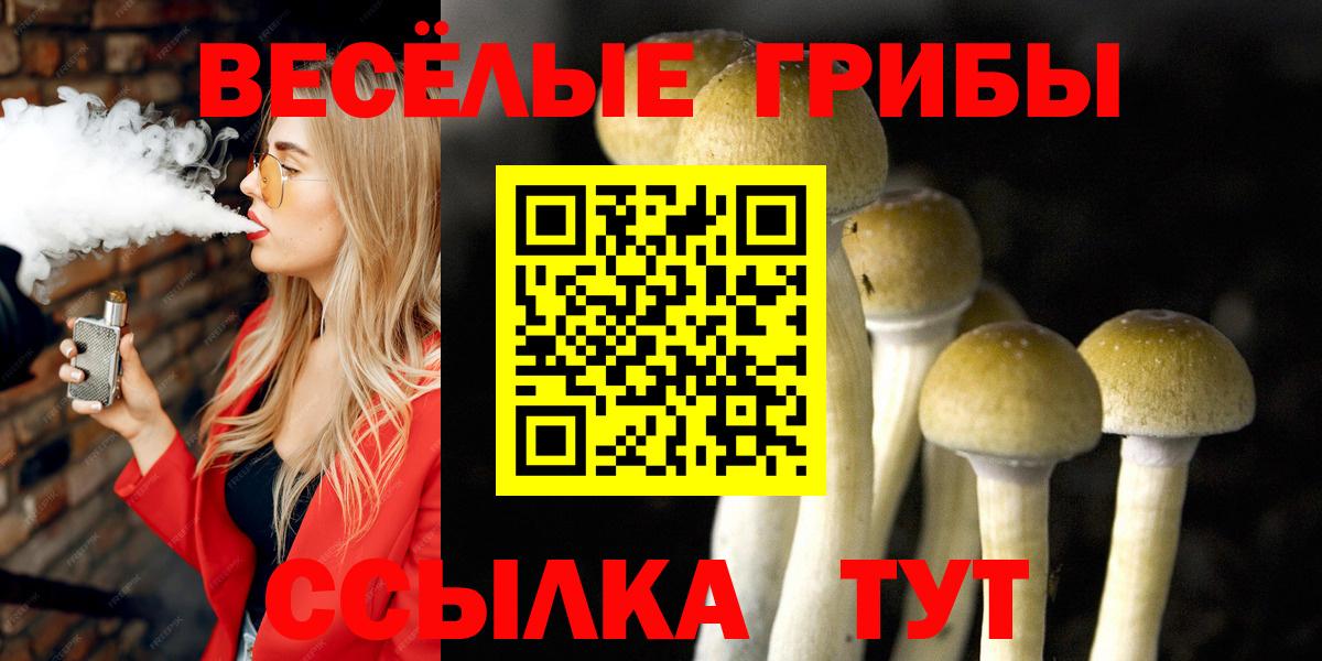 Псилоцибиновые грибы Magic Shrooms Томск