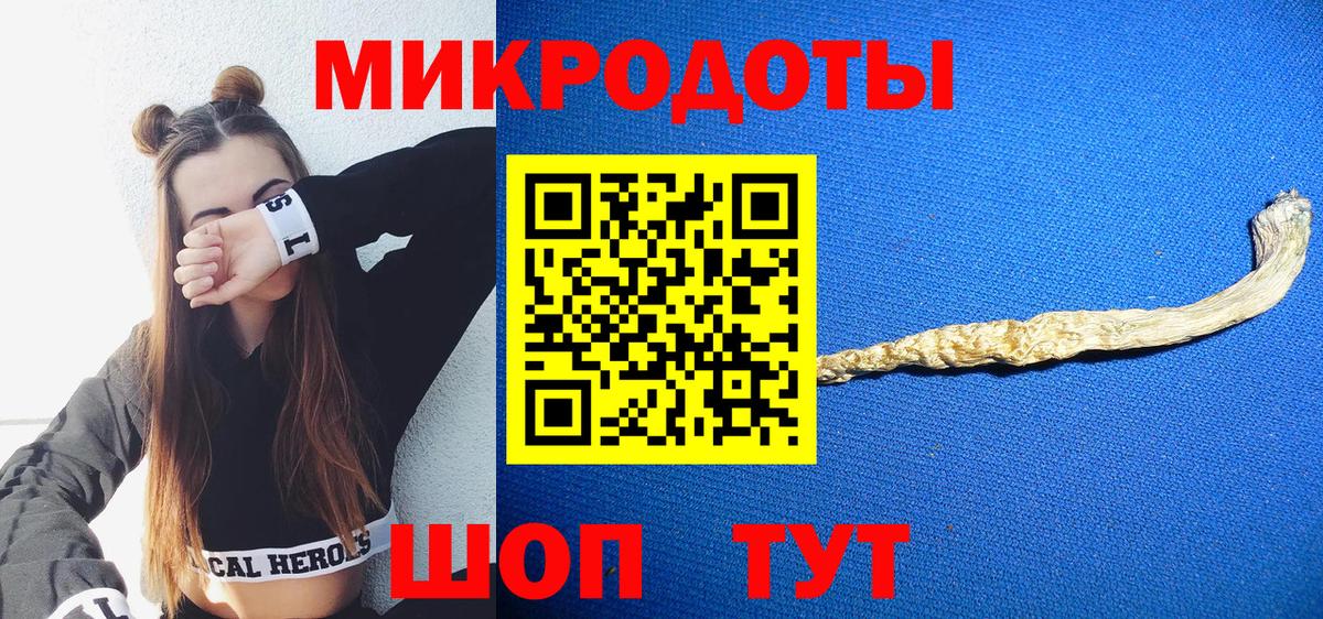 Галлюциногенные грибы Psilocybe  Вход с VPN  Томск  Галлюциногенные грибы мицелий 